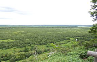 Kushiro-shitsugen National Park